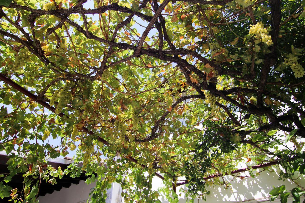 Gul Hanim House Boutique Hotel Nikosia Exterior foto